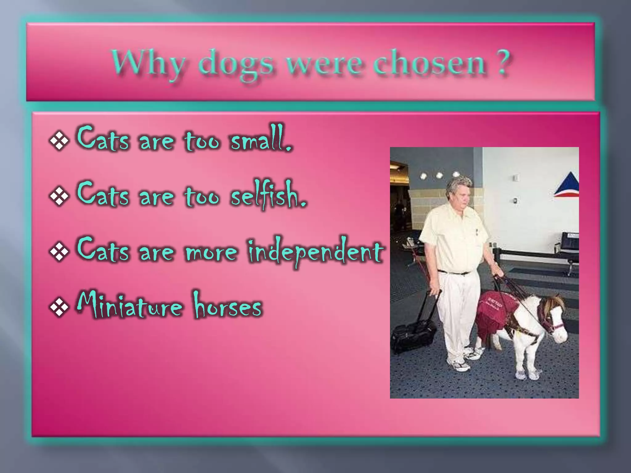  Cats are too small.
 Cats are too selfish.

 Cats are more independent

 Miniature horses
 