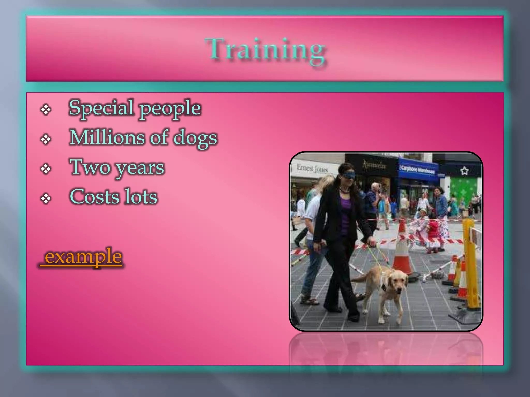    Special people
   Millions of dogs
   Two years
   Costs lots

example
 