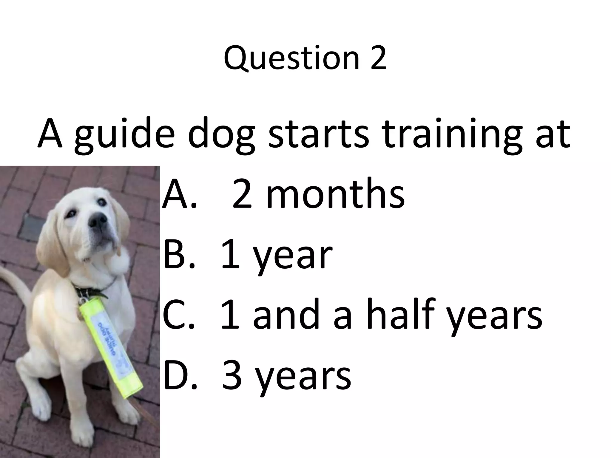 Question 2
A guide dog starts training at
A. 2 months
B. 1 year
C. 1 and a half years
D. 3 years
 