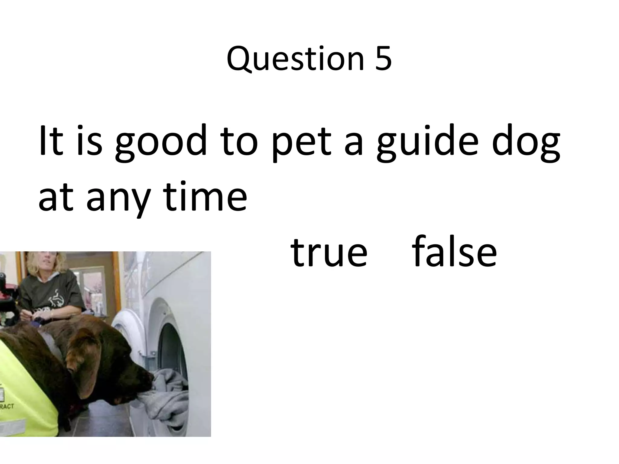 Question 5
It is good to pet a guide dog
at any time
true false
 