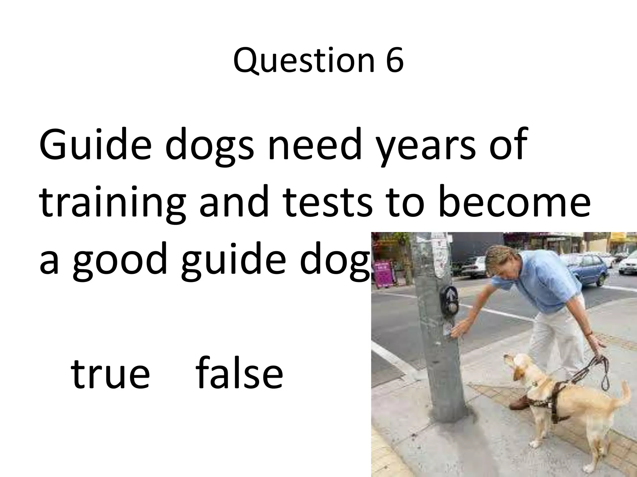 Question 6
Guide dogs need years of
training and tests to become
a good guide dog
true false
 