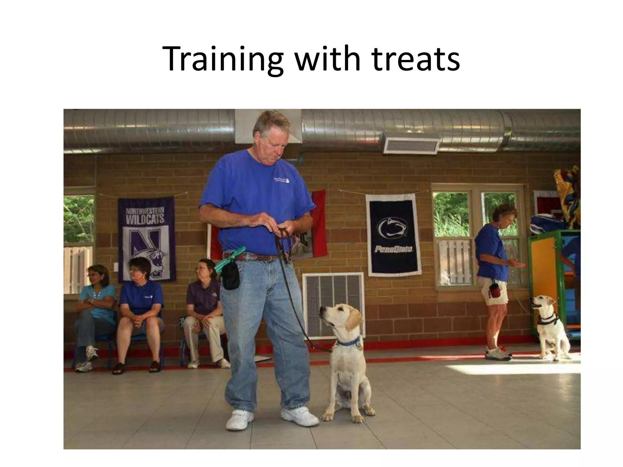 Training with treats
 
