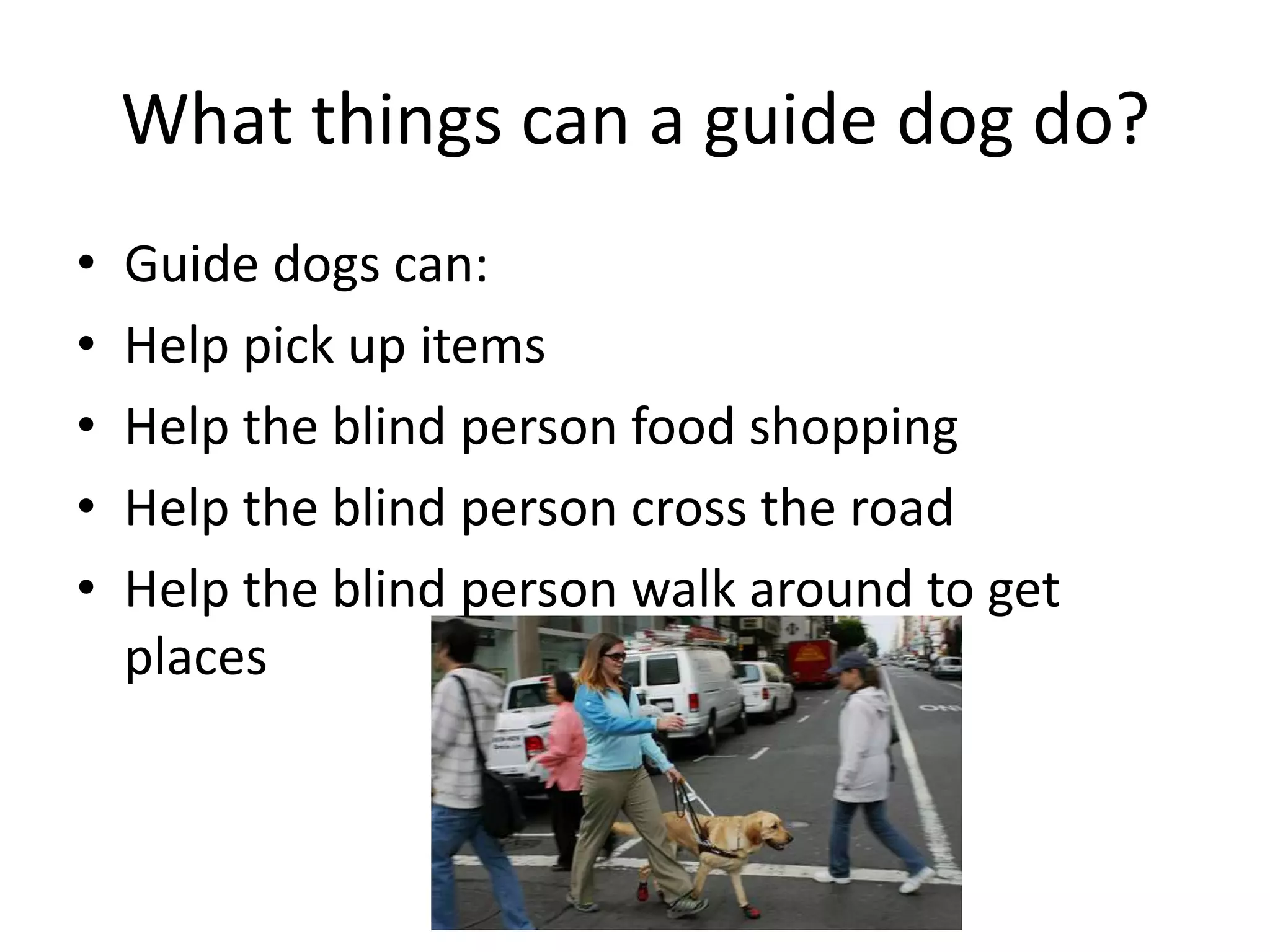 What things can a guide dog do?
• Guide dogs can:
• Help pick up items
• Help the blind person food shopping
• Help the blind person cross the road
• Help the blind person walk around to get
places
 