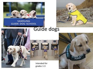 Guide dogs
Intended for
grades 1-3
 