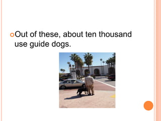 Out of these, about ten thousand
 use guide dogs.
 