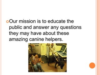 Our mission is to educate the
 public and answer any questions
 they may have about these
 amazing canine helpers.
 