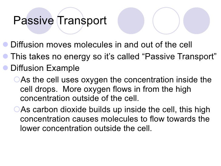 Passive Transport
Example Of Passive Transport