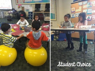 Student Choice
 