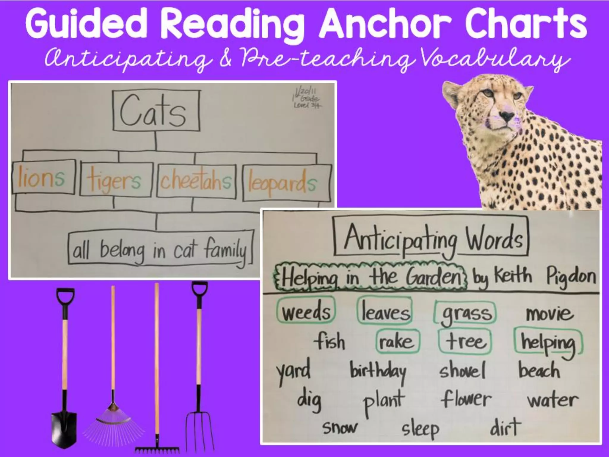 Guided Reading Anchor Charts
After Reading Text Discussions
Activities
to do
with
©2016,Jen Jones
 