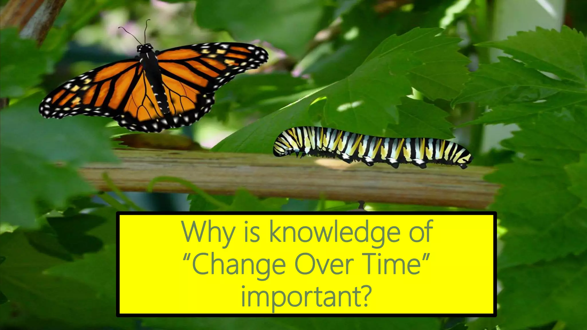 Why is knowledge of
“Change Over Time”
important?
 