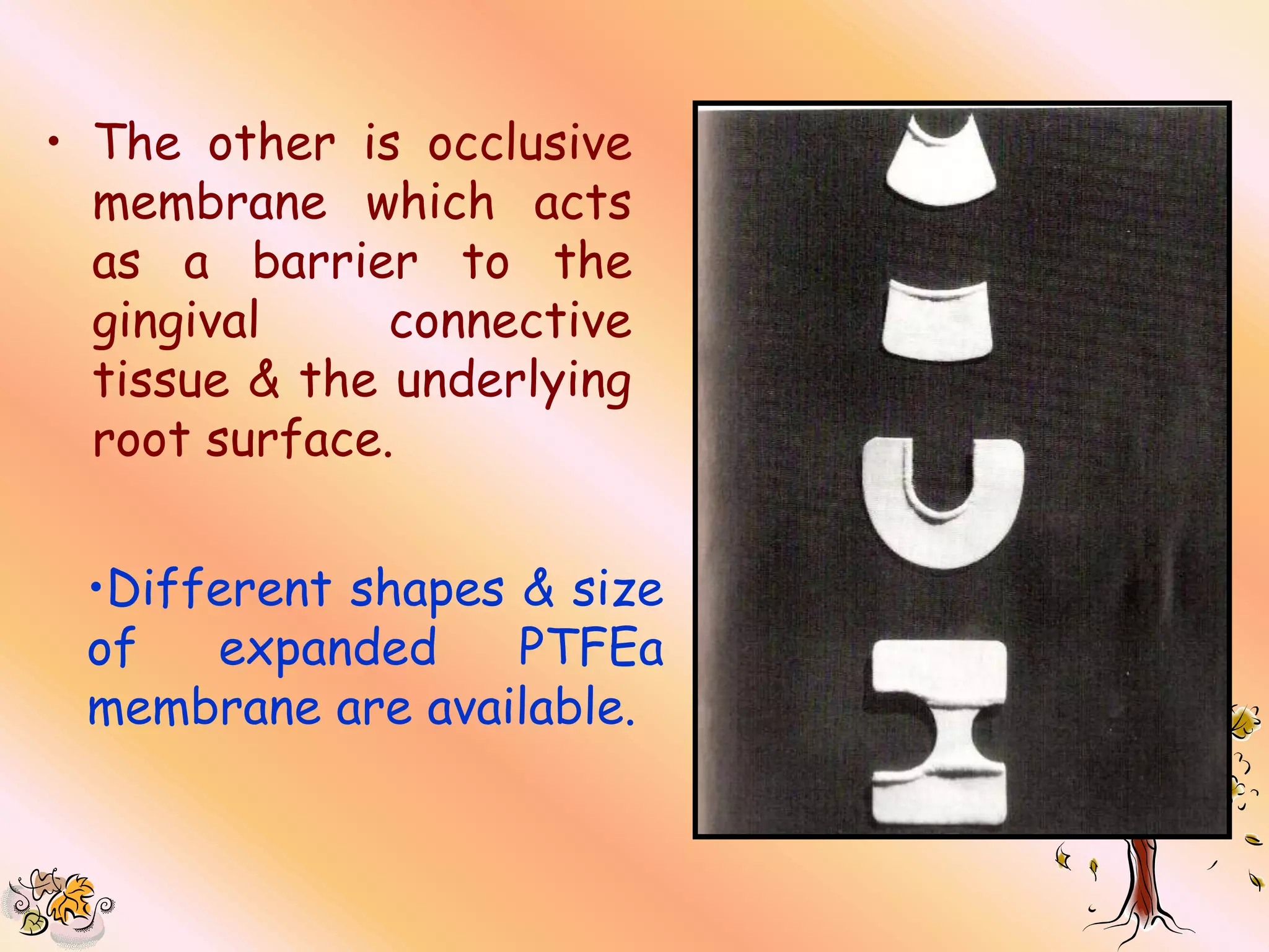 • The other is occlusive
  membrane which acts
  as a barrier to the
  gingival     connective
  tissue & the underlying
  root surface.


 •Different shapes & size
 of   expanded     PTFEa
 membrane are available.
 