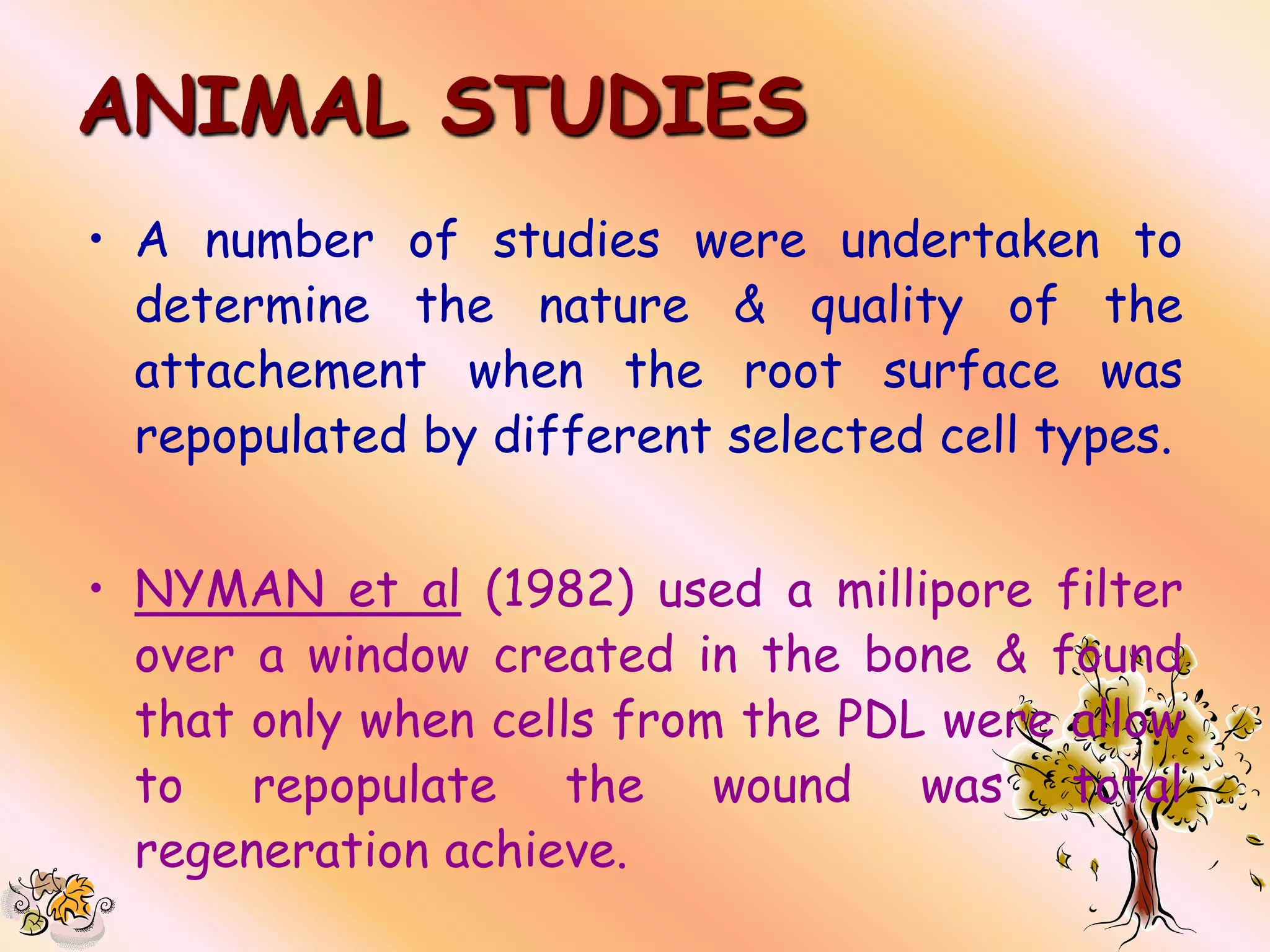 ANIMAL STUDIES
• A number of studies were undertaken to
  determine the nature & quality of the
  attachement when the root surface was
  repopulated by different selected cell types.


• NYMAN et al (1982) used a millipore filter
  over a window created in the bone & found
  that only when cells from the PDL were allow
  to repopulate the wound was total
  regeneration achieve.
 