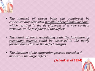 • The network of woven bone was reinforced by
concentrically deposited parallel-fibered lamellar bone,
which resulted in the development of a new cortical
structure at the periphery of the defects
• The onset of bone remodeling with the formation of
secondary osteons could be observed in the newly
formed bone close to the defect margins
• The duration of the maturation process exceeded 4
months in the large defects .
(Schenk et al 1994)
 