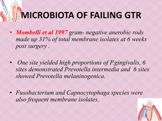 MICROBIOTA OF FAILING GTR
• Mombelli et al 1997 gram- negative anerobic rods
made up 31% of total membrane isolates at 6 weeks
post surgery .
• One site yielded high proportions of P.gingivalis, 6
sites demonstrated Prevotella intermedia and 6 sites
showed Prevotella melaninogenica.
• Fusobacterium and Capnocytophaga species were
also frequent membrane isolates.
 