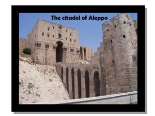 The citadel of Aleppo
 