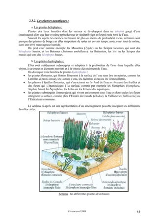 Version avril 2009 64
2.3.2. Les plantes aquatiques :
a. Les plantes hélophytes :
Plantes des lieux humides dont les racines se développent dans un substrat gorgé d’eau
(marécages) alors que leur système reproducteur et végétatif (tige et fleurs) reste hors de l’eau.
Suivant les sujets, les racines ont besoin de plus ou moins de profondeur d’eau, certaines sont
presque des plantes de berge car elles supportent de rester un certain temps, assez court tout de même,
dans une terre marécageuse humide.
On peut citer comme exemple les Massettes (Typha) ou les Scirpes lacustres qui sont des
hélophytes hautes, et les Butomes (Butomus umbellatus), les Rubaniers, les Iris ou les Scirpes des
marais qui sont des hélophytes basses.
b. Les plantes hydrophytes :
Elles sont entièrement submergées et adaptées à la profondeur de l’eau dans laquelle elles
vivent, à sa teneur en éléments nutritifs et à la vitesse d'écoulement de l’eau.
On distingue trois familles de plantes hydrophytes :
• les plantes flottantes, qui flottent librement à la surface de l’eau sans être enracinées, comme les
Lentilles d’eau (Lemna), les Laitues d’eau, les Jacinthes d’eau ou les Grenouillettes,
• les plantes à feuilles flottantes, qui s’enracinent sur le fond de l’eau et forment des feuilles et
des fleurs qui s’épanouissent à la surface, comme par exemple les Nénuphars (Nymphaea,
Nuphar lutea), les Nymphéas, les Lotus ou les Renoncules aquatiques,
• les plantes submergées (immergées), qui vivent entièrement sous l’eau et dont seules les fleurs
atteignent la surface, comme chez l’Elodée du Canada (Elodea), la Vallisnérie (Vallisneria) ou
l’Urticulaire commune.
Le schéma ci-après est une représentation d’un aménagement possible intégrant les différentes
familles citées.
Schéma : les différentes plantes d’un bassin
 