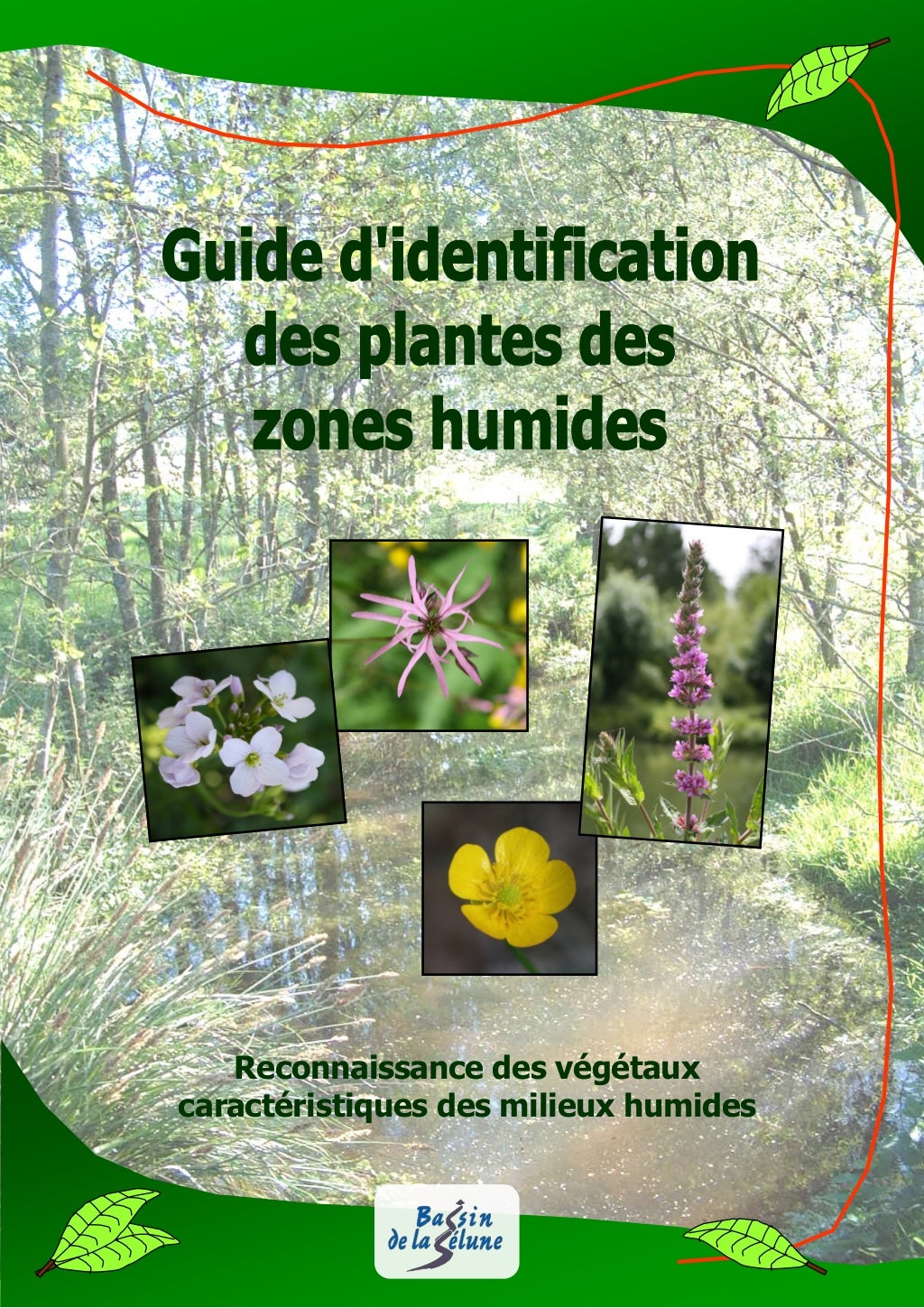 Guide d'identification des plantes des zones humides