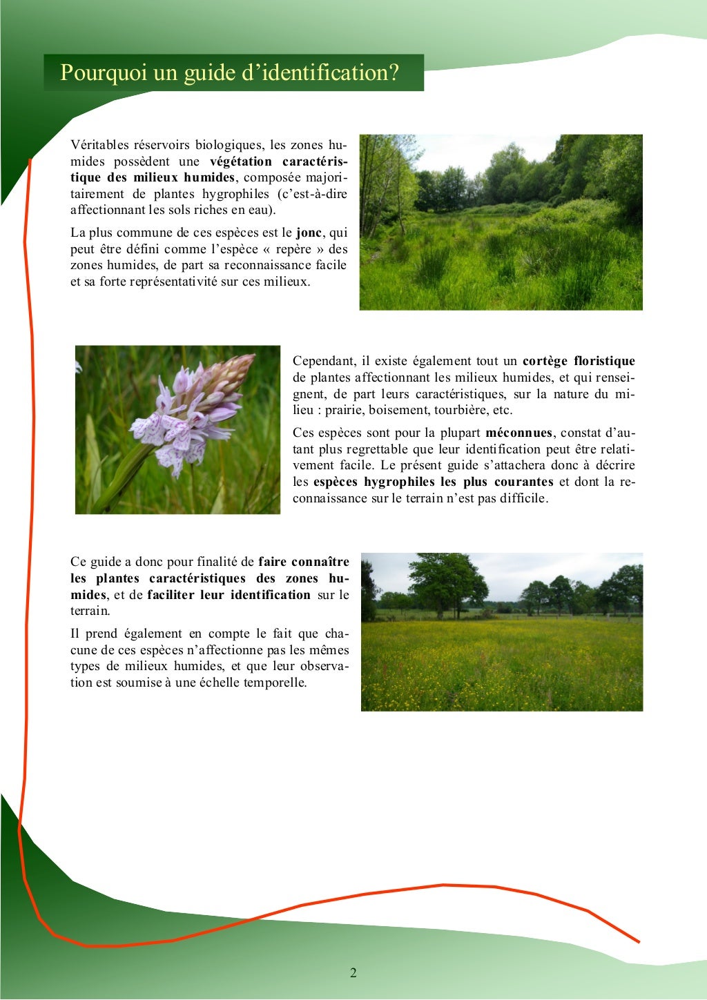 Guide d'identification des plantes des zones humides