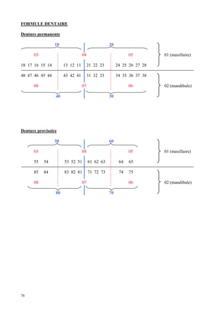 78
FORMULE DENTAIRE
Denture permanente
10 20
03 04 05 01 (maxillaire)
18 17 16 15 14 13 12 11 21 22 23 24 25 26 27 28
48 47 46 45 44 43 42 41 31 32 33 34 35 36 37 38
08 07 06 02 (mandibule)
40 30
Denture provisoire
50 60
03 04 05 01 (maxillaire)
55 54 53 52 51 61 62 63 64 65
85 84 83 82 81 71 72 73 74 75
08 07 06 02 (mandibule)
80 70
 