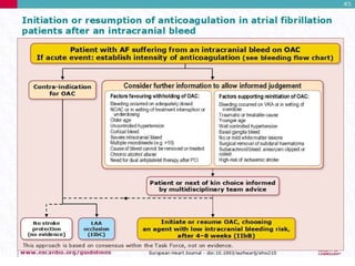 Caep Afib Guidelines.pdf Guideline AHA Atrial fibrillation 2019.pptx