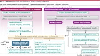 Comprehensive Diagnostic Approach to Chest Pain: Current Guidelines and ...