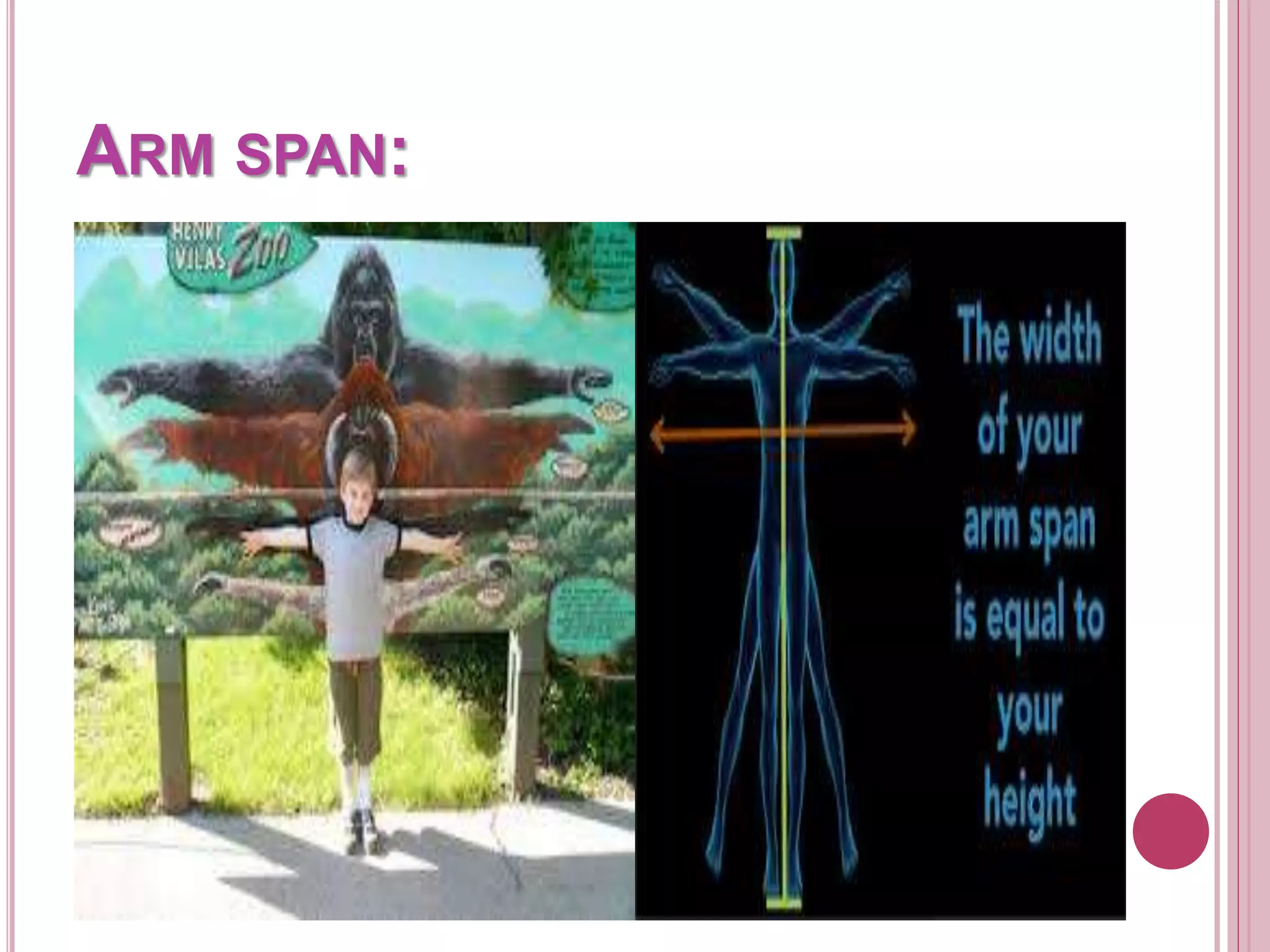 ARM SPAN:
 