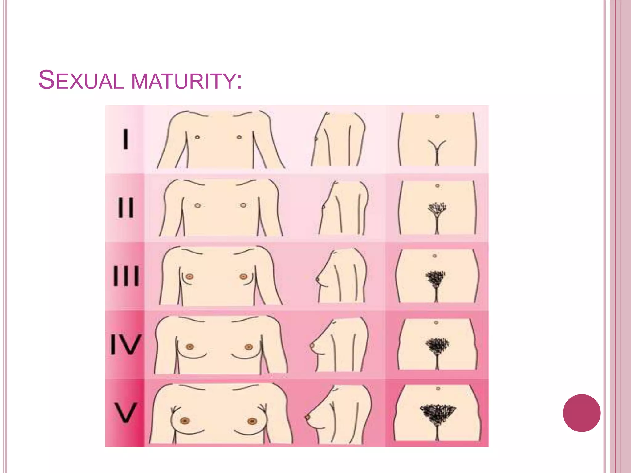 SEXUAL MATURITY:
 