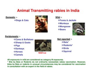Guideline_Rabies_prophylaxis_PPT_PDF.pdf
