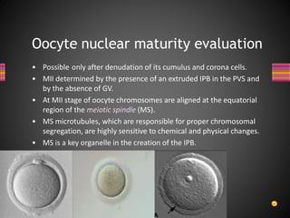Oocyte Morphology assessment | PPTX