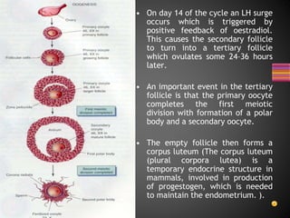 Oocyte Morphology assessment | PPTX