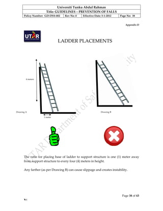 Guidelines Prevention of Falls | PDF