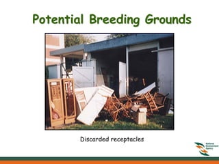 Potential Breeding Grounds




       Discarded receptacles
 