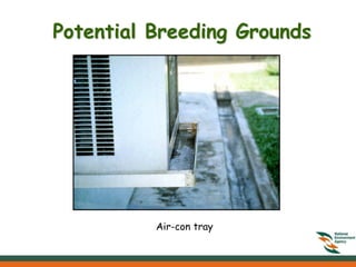 Potential Breeding Grounds




          Air-con tray
 