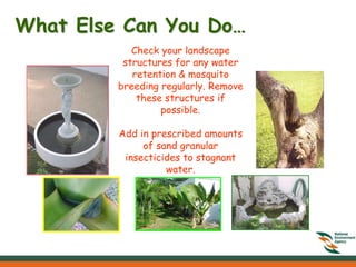 What Else Can You Do…
            Check your landscape
          structures for any water
            retention & mosquito
         breeding regularly. Remove
             these structures if
                  possible.

         Add in prescribed amounts
              of sand granular
          insecticides to stagnant
                   water.
 