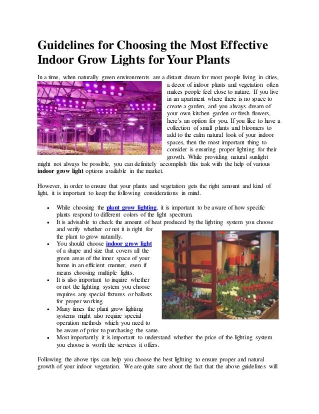 Guidelines for Choosing the Most Effective Indoor Grow Lights for Your