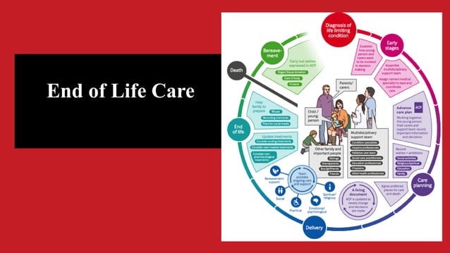 Guidelines for end of life care in icu | PDF | First Aid | Injuries