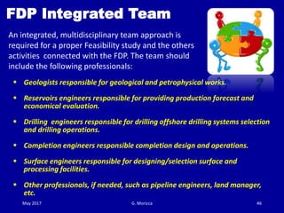 Guidelines for field development plan | PDF