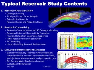 Guidelines for field development plan | PDF