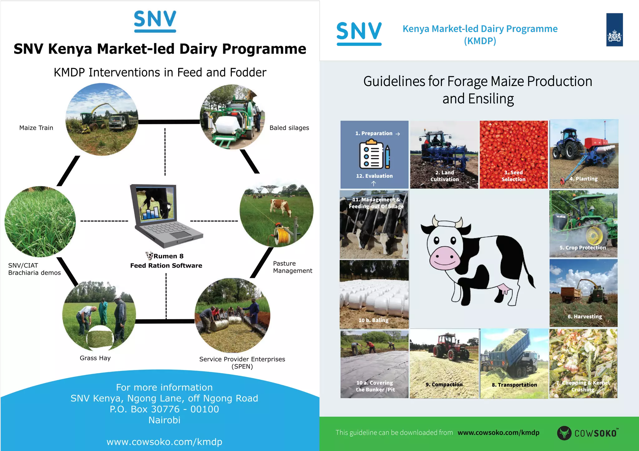 Guidelines for forage maize production and ensiling | PDF