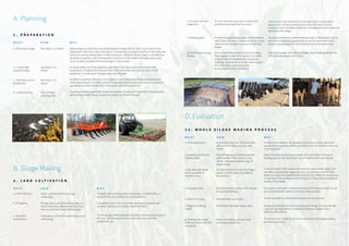 Guidelines for forage maize production and ensiling | PDF
