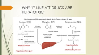 Guidelines for Management of ATT Induced Hepatitis.pptx
