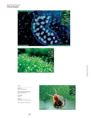 Guidelines for online success