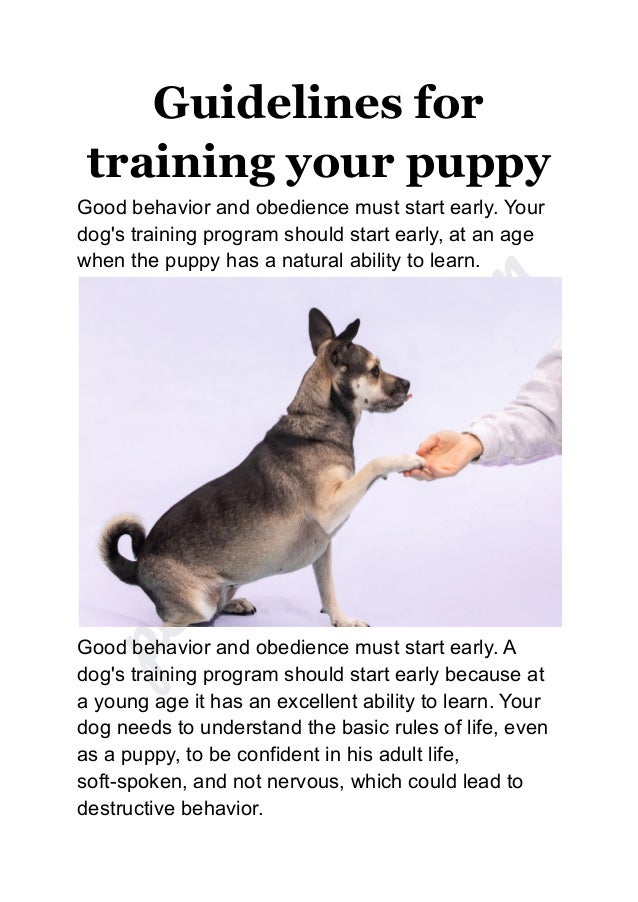 Guidelines for training your puppy.