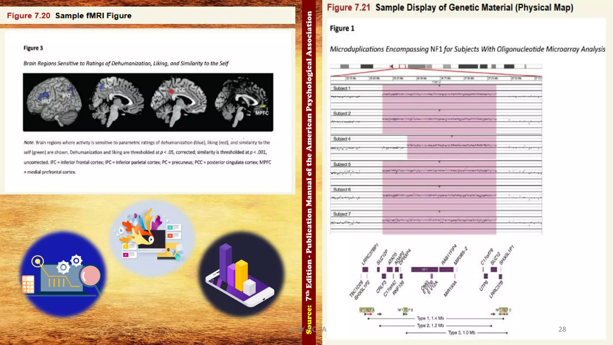 Source:7thEdition-PublicationManualoftheAmericanPsychologicalAssociation
CC-BY-NC-SA 28
 
