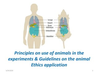 Guidelines on animal research review