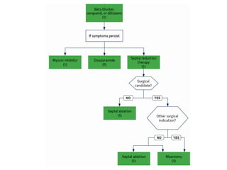 Comprehensive Overview of Hypertrophic Cardiomyopathy: Diagnosis, Risk ...