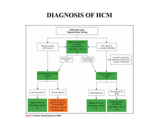 Comprehensive Overview of Hypertrophic Cardiomyopathy: Diagnosis, Risk ...