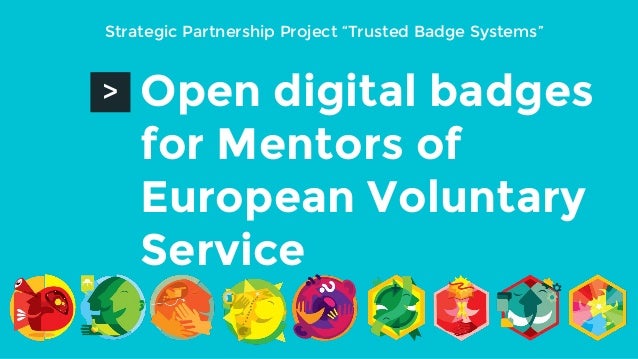 badge system