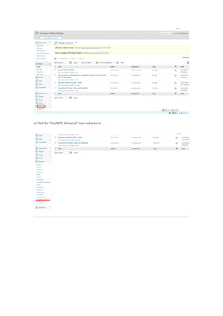 2) Find the TinyMCE Advanced item and press it.