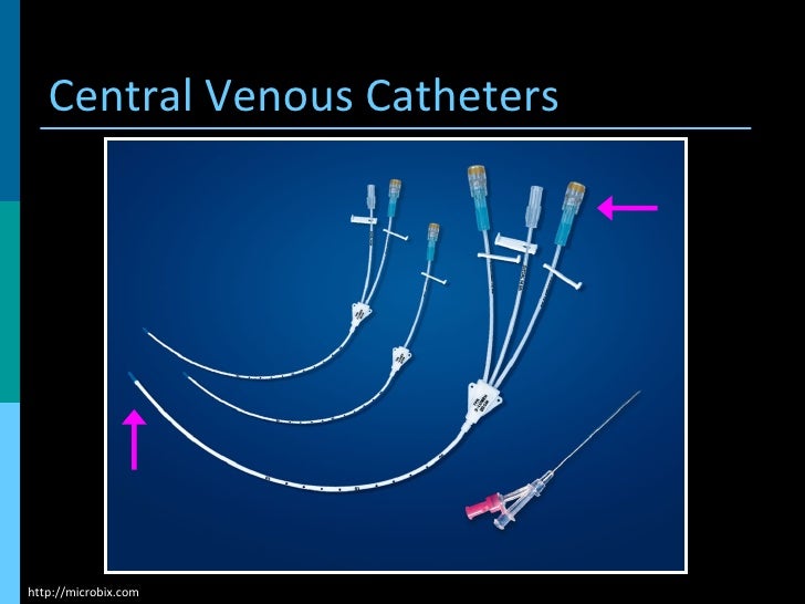 Guideline Update For The Management Of Intravenous Catheter Related I…